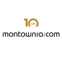 Montownia Group Sp. z o.o., Poznań godziny otwarcia