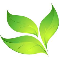 NATURA I ZDROWIE RENATA SIEK, Stalowa Wola godziny otwarcia
