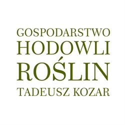 Tadeusz Kozar Gospodarstwo Hodowli Roślin w Dziekanowie, Hrubieszów godziny otwarcia
