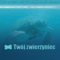 TWÓJ ZWIERZYNIEC TOMASZEWSKI ŁUKASZ, Lubin godziny otwarcia