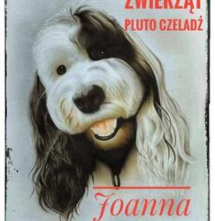 ZAKŁAD PIELĘGNACJI ZWIERZĄT PLUTO JOANNA PAWELEC, Czeladź godziny otwarcia