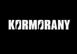 SŁAWOMIR PRZYBYLSKI ZESPÓŁ MUZYCZNY KORMORANY, Wągrowiec godziny otwarcia