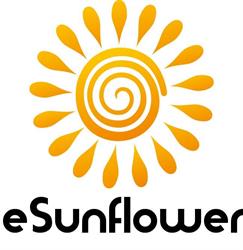 eSunFlower, Zgierz godziny otwarcia