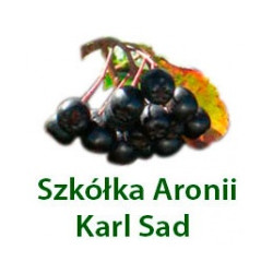 Karl-Sad. Producent sadzonek i owoców aronii. Zienkiewicz K., Huszlew godziny otwarcia