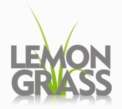 Lemongrass Studio Agencja reklamy i poligrafii, Sosnowiec godziny otwarcia