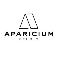 APARICIUM STUDIO JOANNA DZIERŻYŃSKA, Mińsk Mazowiecki godziny otwarcia