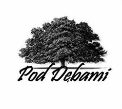 Bar Pod Debami, Wrocław godziny otwarcia