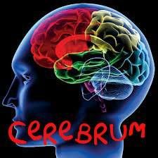CEREBRUM SZKOŁA SZYBKIEGO CZYTANIA I TECHNIK UCZENIA SIĘ MAŁGORZATA ADAMUS, Zawiercie godziny otwarcia