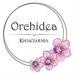 DOROTA NIEDZIAŁEK Kwiaciarnia Orchidea, Starachowice godziny otwarcia
