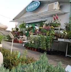 Centrum Ogrodnicze Sosna, Wieliczka godziny otwarcia