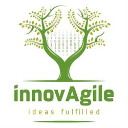 INNOVAGILE SP Z O O, Poznań godziny otwarcia