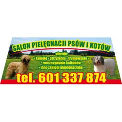 Joanna Batko SALON PIELĘGNACJI PSÓW I KOTÓW, Dobra godziny otwarcia