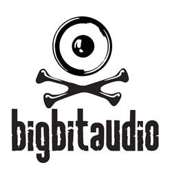 KATARZYNA MŁODOCHOWSKA BIG BIT AUDIO, Rzeszów godziny otwarcia