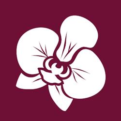 KWIACIARNIA ORCHIDEA JOANNA FIGAJ, Wrocław godziny otwarcia