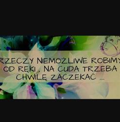 KWIACIARNIA JAGODA JAGODA BONKOWSKA, Więcbork godziny otwarcia