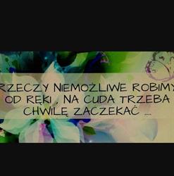 KWIACIARNIA JAGODA JAGODA BONKOWSKA, Więcbork godziny otwarcia