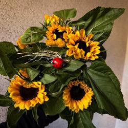 KWIACIARNIA FANTAZJA FIGURA URBAŚ MARCELINA, Wieprz godziny otwarcia