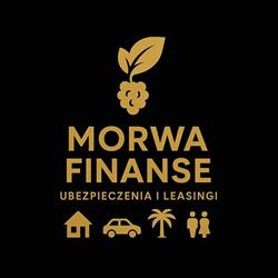 MORWA FINANSE ŁUKASZ MORAWIŃSKI, Oleśnica godziny otwarcia
