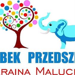 NIEPUBLICZNE PRZEDSZKOLE KRAINA MALUCHA, Bełchatów godziny otwarcia