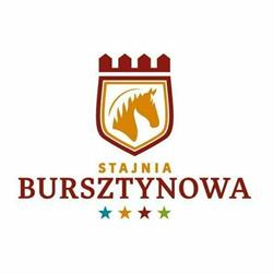 OŚRODEK REKREACYJNO SPORTOWY STAJNIA BURSZTYNOWA ANNA ROTT, Puck godziny otwarcia