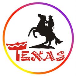 PHU TEXAS S C ALEKSANDRA WIŚNIEWSKA RADOSŁAW REJMER, Kozienice godziny otwarcia