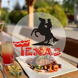 PHU TEXAS S C ALEKSANDRA WIŚNIEWSKA RADOSŁAW REJMER, Kozienice godziny otwarcia