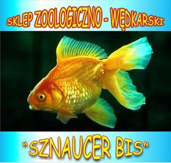 Sklep Zoologiczno - Wedkarski, Zawiercie godziny otwarcia