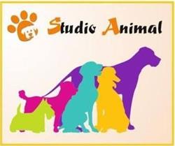 STUDIO ANIMAL, Kraków godziny otwarcia