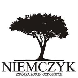 SZKÓŁKA ROŚLIN OZDOBNYCH WIOLETA I, Bądkowo godziny otwarcia