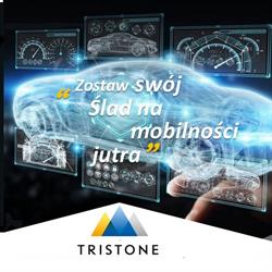Tristone Flowtech Poland Sp. Z o.o, Wałbrzych godziny otwarcia