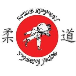 UCZNIOWSKI KLUB SPORTOWY JUDO UKS IPPON TYCHY, Tychy godziny otwarcia