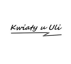 URSZULA SZABELAK ŚWIADEK KWIATY U ULI, Bedlenko godziny otwarcia