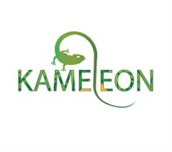 KAMELEON PAWEŁ BARTKOWIAK, Oborniki godziny otwarcia