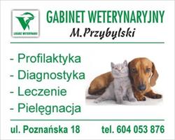 Uslugi Weterynaryjne M. Przybylski, Mogilno godziny otwarcia