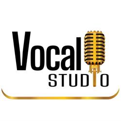 VOCAL STUDIO KATARZYNA GODZISZ, Dębica godziny otwarcia