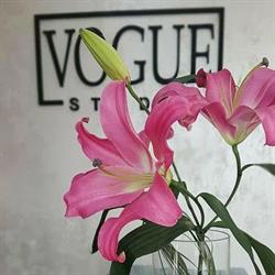 VOGUE STUDIO, Rzeszów godziny otwarcia