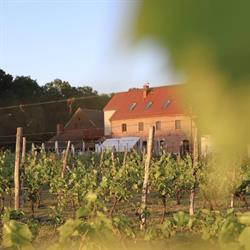 WINIARNIA HANNA, Radomierzyce godziny otwarcia