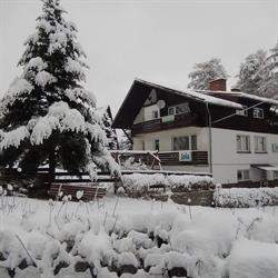 WILLA JOLA ZBIGNIEW HEJMANOWSKI, Karpacz godziny otwarcia