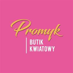 ZAKŁAD PRODUKCYJNO HANDLOWY PROMYK, Mława godziny otwarcia