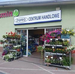 ZYGFRYD CENTRUM HANDLOWE BEDNARKIEWICZ ZYGFRYD, Bystrzyca Kłodzka godziny otwarcia