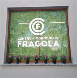 Fragola Sp. z o.o., Krotoszyn godziny otwarcia