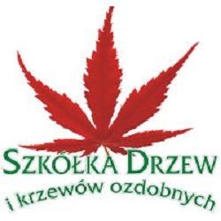 K. i T. Idzik Szkółka drzew i krzewów ozdobnych, projektowanie, zakładanie, utrzymanie ogrodów, Piotrowice godziny otwarcia