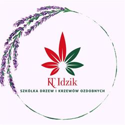 K. i T. Idzik Szkółka drzew i krzewów ozdobnych, projektowanie, zakładanie, utrzymanie ogrodów, Słupca godziny otwarcia