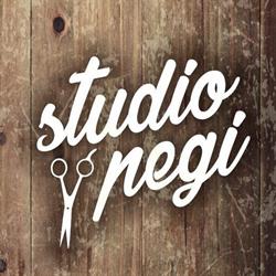 Studio fryzjerskie Pegi, Bielsko-Biała godziny otwarcia