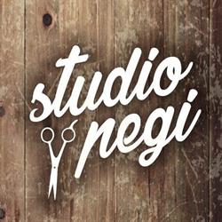 Studio fryzjerskie Pegi, Bielsko-Biała godziny otwarcia