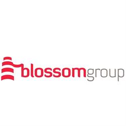 BLOSSOM GROUP SP Z O O, Warszawa godziny otwarcia