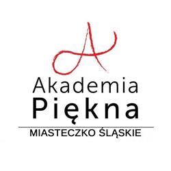 Akademia Piękna Michał Hetmańczyk, Miasteczko Śląskie godziny otwarcia