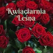 Kwiaciarnia Leśna, Białystok godziny otwarcia