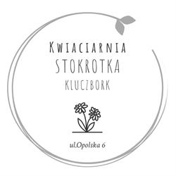 Kwiaciarnia Stokrotka, Kluczbork godziny otwarcia