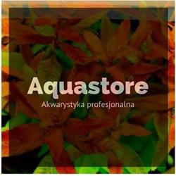 Aqua Store Poznań, godziny otwarcia